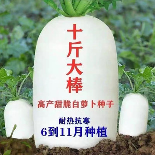 ��ʮ�������ش���}���N���紺���ﲥ�������ļ��߮a�������_��