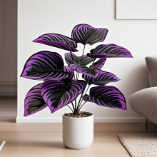 ��Ʒ����ֲ�����_�m���m���ھGֲ�ٻ��Ҿӿ͏d����辰�b羳