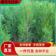 һlؘɰ؂Ȱؘ؈Aɘ،Ĺذؘ