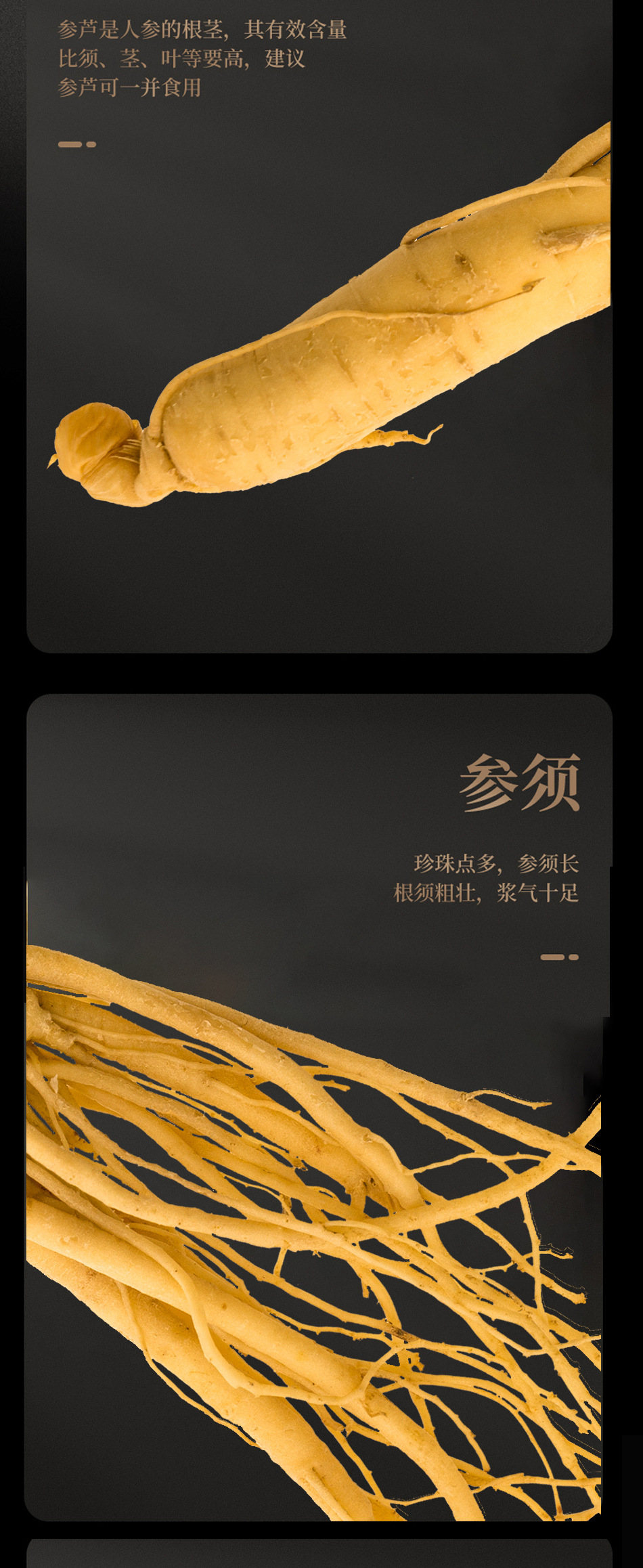 Fresh Ginseng Roots for Cooking and Herbal Soup 15g Pack of 10 Roots from Jilin specifications