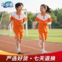 短袖同款纯棉短裤校服