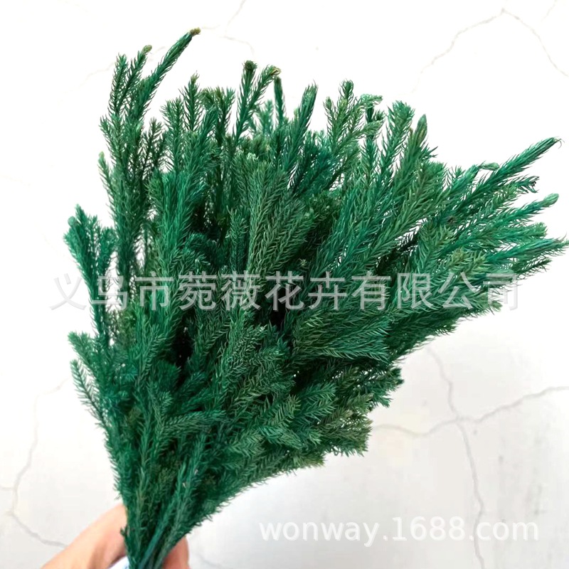 微信图片_20210118233342