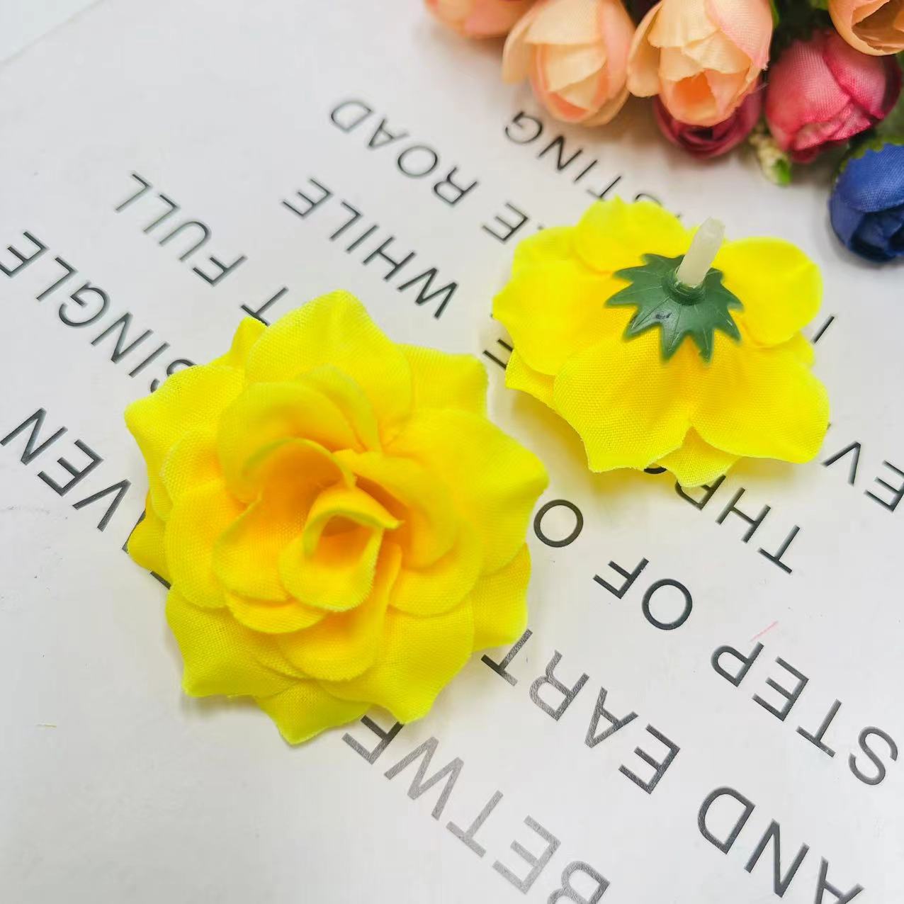 微信图片_202408161556082