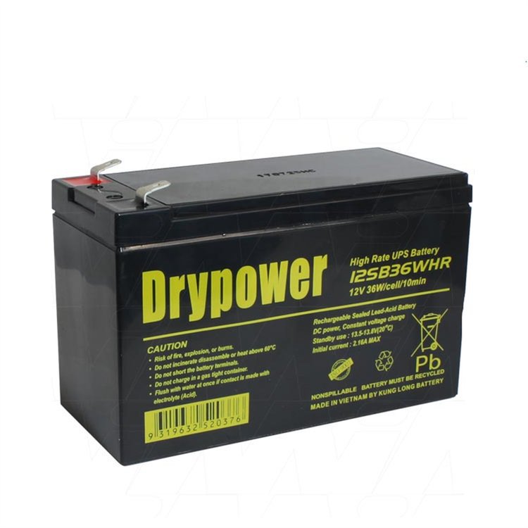 美国DRYPOWER蓄电池12SB36WHR 环保储能电瓶 通信离网系统应急电