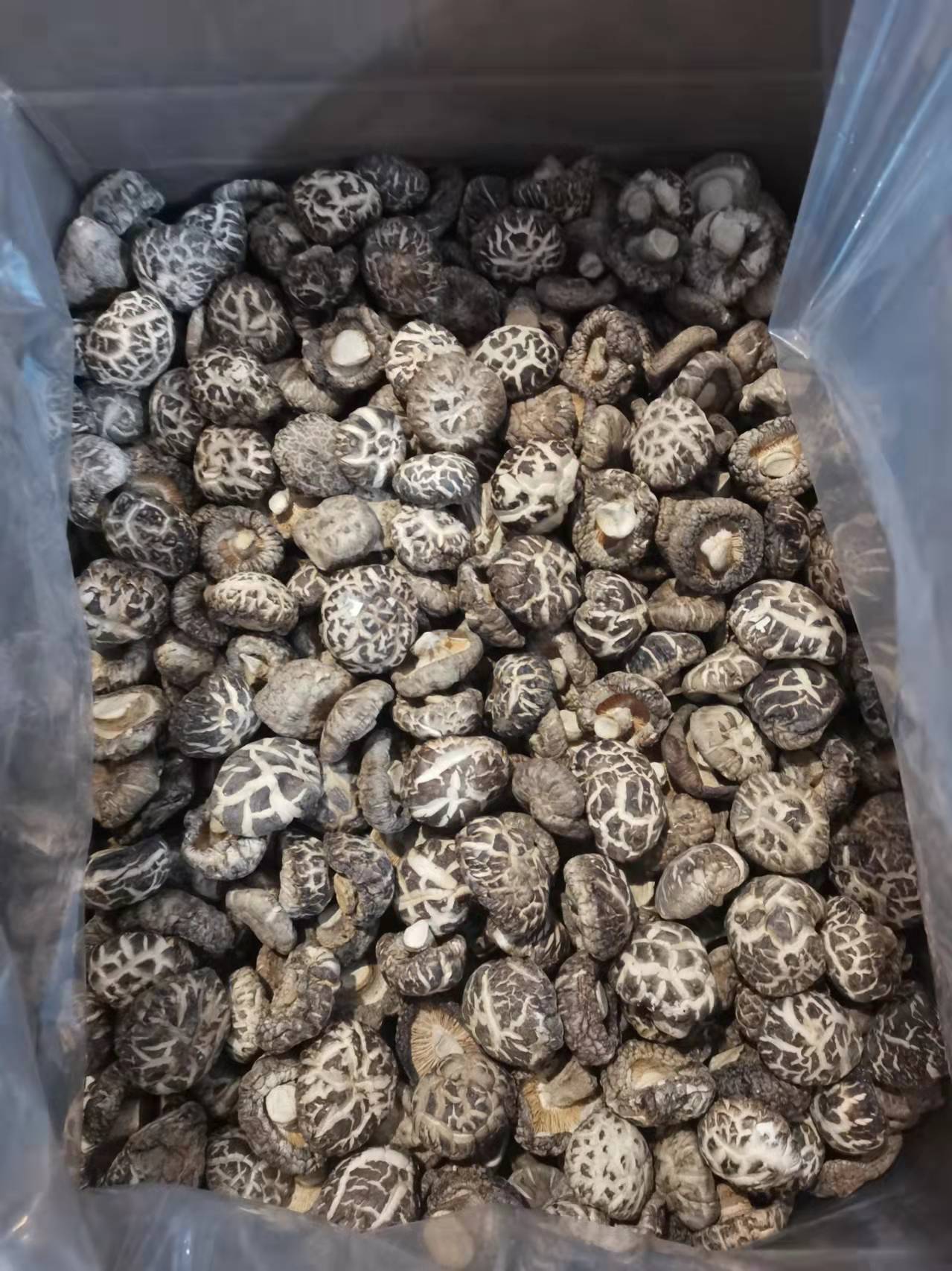 微信图片_20211123180510