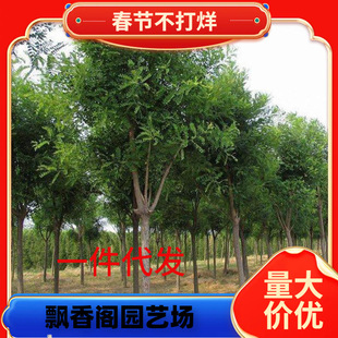 һ�����l�������绱������ͥԺ�L����G������צ���ش���绱