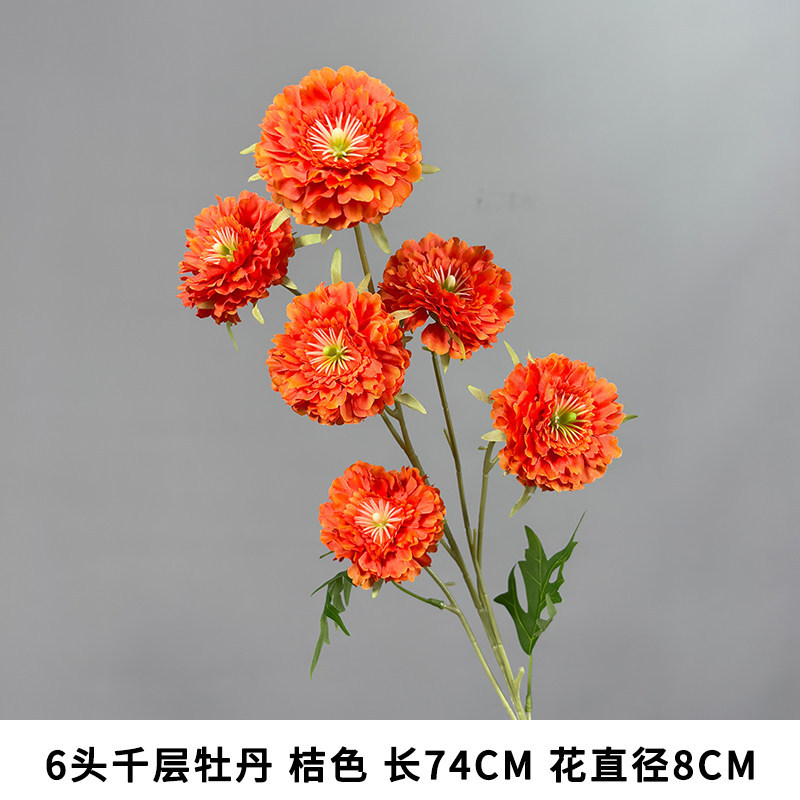 6头千层牡丹