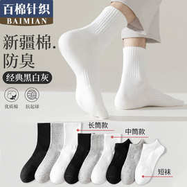 精梳棉中筒袜男生运动长筒袜白袜抗菌棉袜短袜男袜棉袜长袜防臭