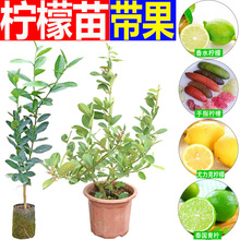 ���ʘ��� ̨���ļ���ˮ���������� �Ϸ����ʘ� ����Y�� �����l؛