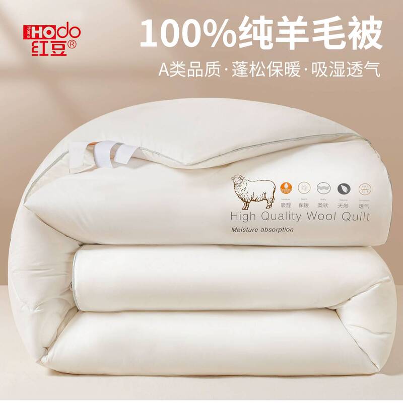 Wool Quilt Core 100% Pure Wool Winter Quilt Cashmere Quilt Thickened Warm Dormitory Single Cotton Quilt Spring and Autumn Quilt