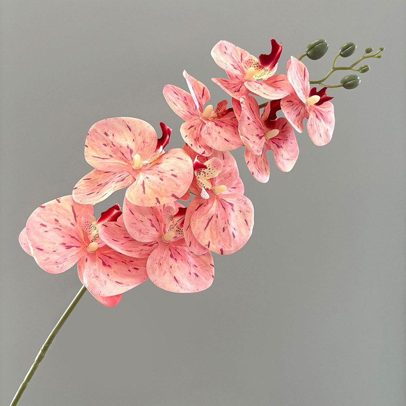 3D 호접란 7 머리 - 핑크 뷰티