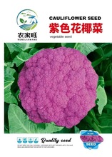 ɫҬ˷Nɻ˷Nɫ˷NrҲˈ@ ߲˷N׷N