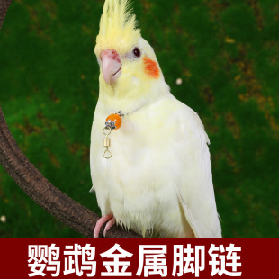 ��Ƥ�B�ò���ĵ�����P�W�^��Ȧ���P��B���Ӗ�B�˸��þ���Ʒ���