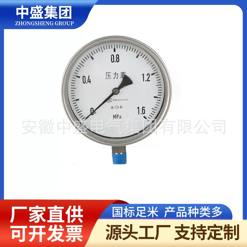 膜片压力表YFP-100 SUS304量程0-0.6MmaM20*1.5