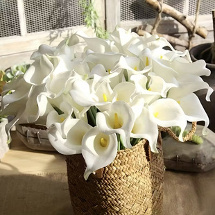 �S��ֱ�NPU��֧�����R��ɏ���滨�ٻ����l��c����Ʒ�|�Ҿ��b�