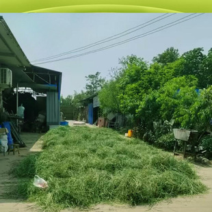 2024��ĥ������Ħ���� �ò���Ħ���� ������؈���m�i�Z��