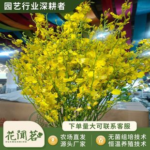 �����S�л������mƿ�����Bƿ�Gֲ���� ���B�� ����r��