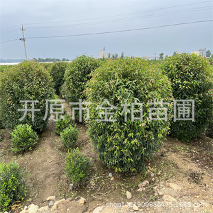 ���깩��������1-1.8�ײ�l�ʾG�h�����L���G���������������Ǘ�