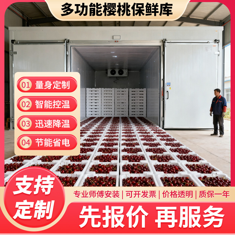 小型樱桃保鲜库 智能水果冷库房 多功能箱式果蔬保鲜设备生产厂家