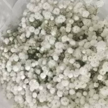 Роза цветы базовая ставка Юньань Куньмин прямая доставка лилия длинные волосы подсолнух красная фасоль хозяйство свежие срезанные воды