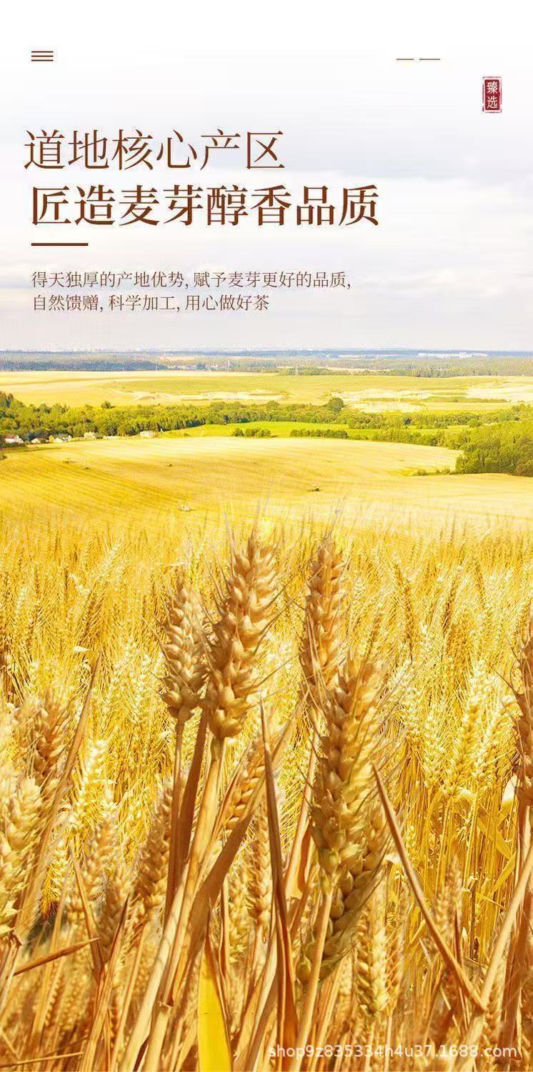 Dried Fried Malt Sprouts Chao Mai Ya 500g Loose Herbal Ingredient for Decoction and Culinary Use overview