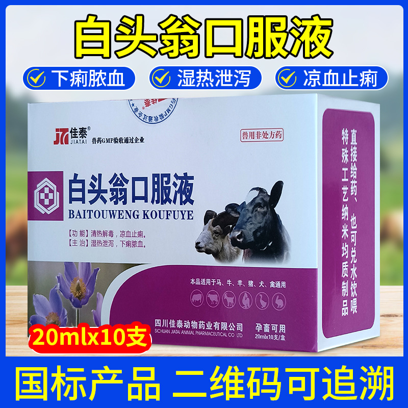 兽用白头翁口服液水肿痢疾消家畜宠物清热解毒凉血止痢20ml10支装