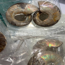 加拿大螺化石 斑彩石 彩宝办公室摆件盆景 随形 吊坠 抖音货源