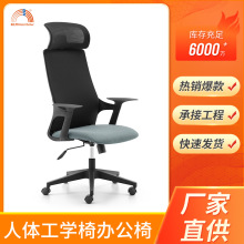 人体工学椅舒适久坐书房书桌学习椅办公椅电脑椅办公室护腰办公椅