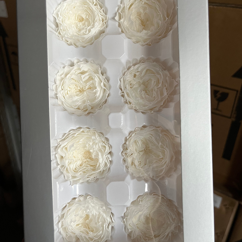 Grado A 4 - 5cm blanco 8 flores / caja