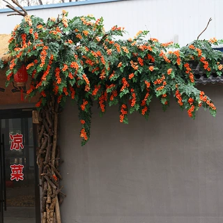 仿真凌霄假花藤条树叶子室内吊顶装饰空调水管道塑料绿植缠绕遮挡