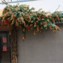 仿真缠绕凌霄塑料假花