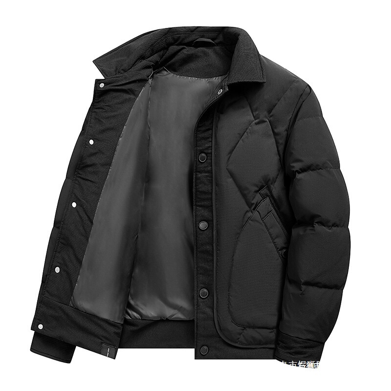 Cross-border national standard 50% down men's stand-up collar down jacket, short style, 2026 new trendy workwear for winter Cross-border national standard 50% down men's stand-up collar down jacket, short style, 2026 new trendy workwear for winter