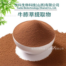 ţϥ����ȡ�� �������ȡ��ţϥ�ݷ�1kg������r�� �������� ���]