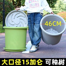 �ش�̖����15�Ӂ������ɢβ�����Ͻ����¼��ظ���֬�������