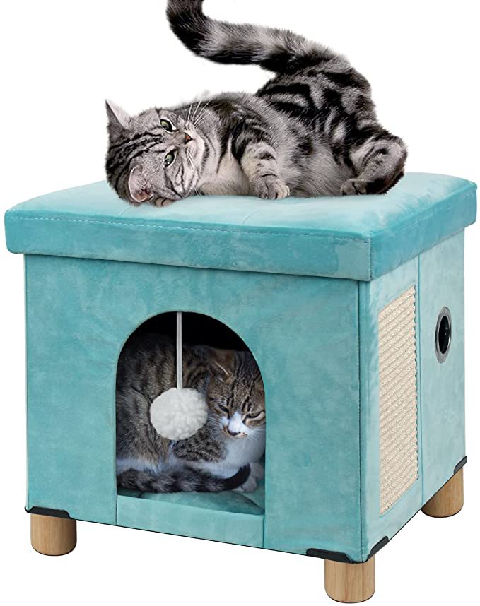 71pDkrjrXKL._AC_SX679_