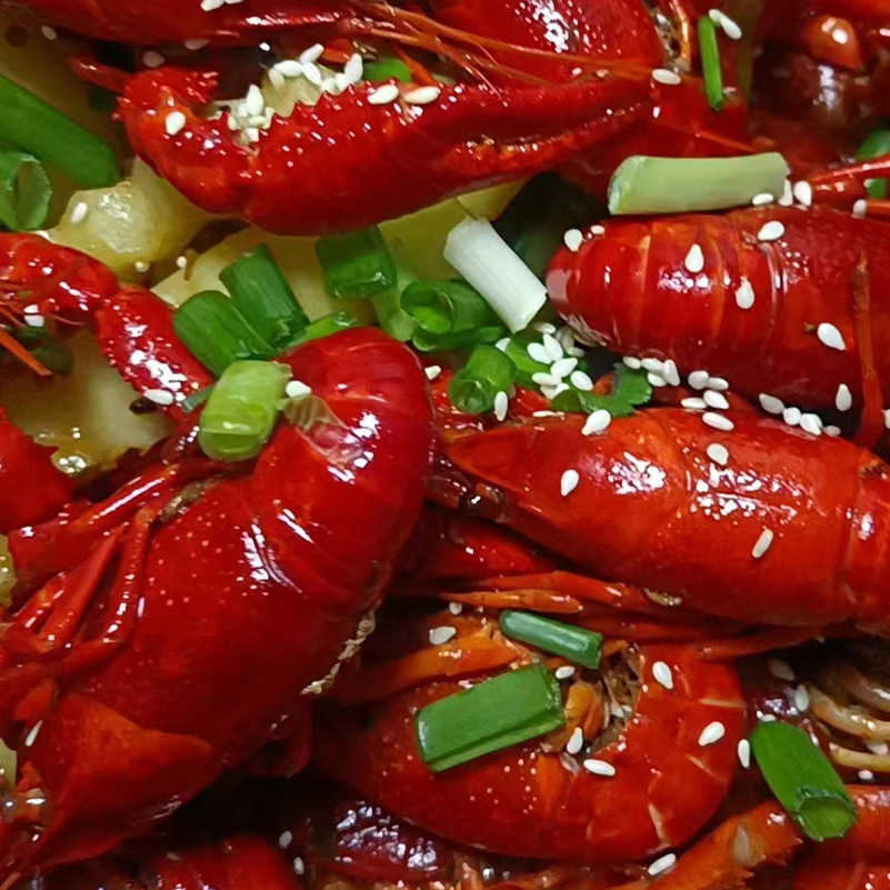 5d97bfb6f5e7f3f3a532b2f3435532