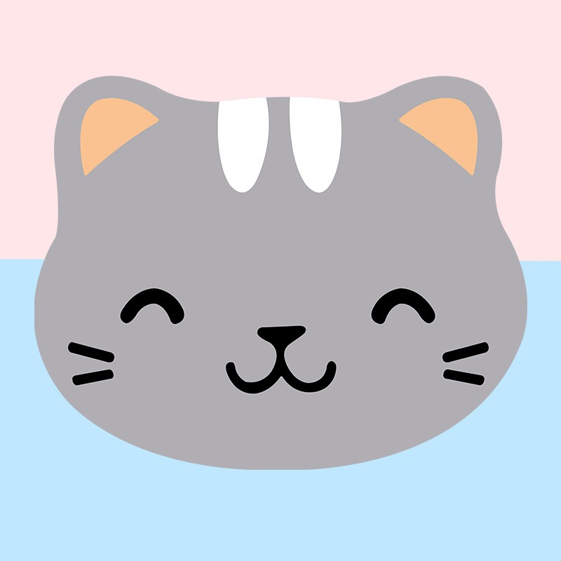회색 고양이