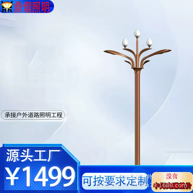 厂家供应市政工程中华灯 产地货源8米9米12米景观灯道路照明路灯