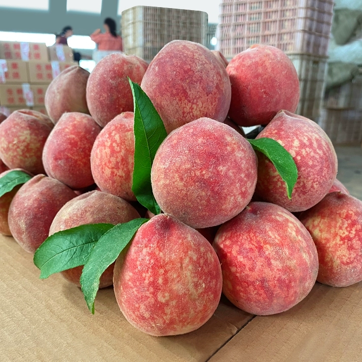 Персики 2.5kg свежих фруктов целая коробка хрустящие персики, собранные свежими для беременных красное сердце кровь персик сезонные нектаринки сезонные водные персики