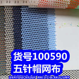 100590#五针帽网布、小孔网布透气洞洞网布