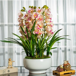 �߼��������ޥ�m�廨�ٻ����ָп͏d�ҕ���辰���������b[��