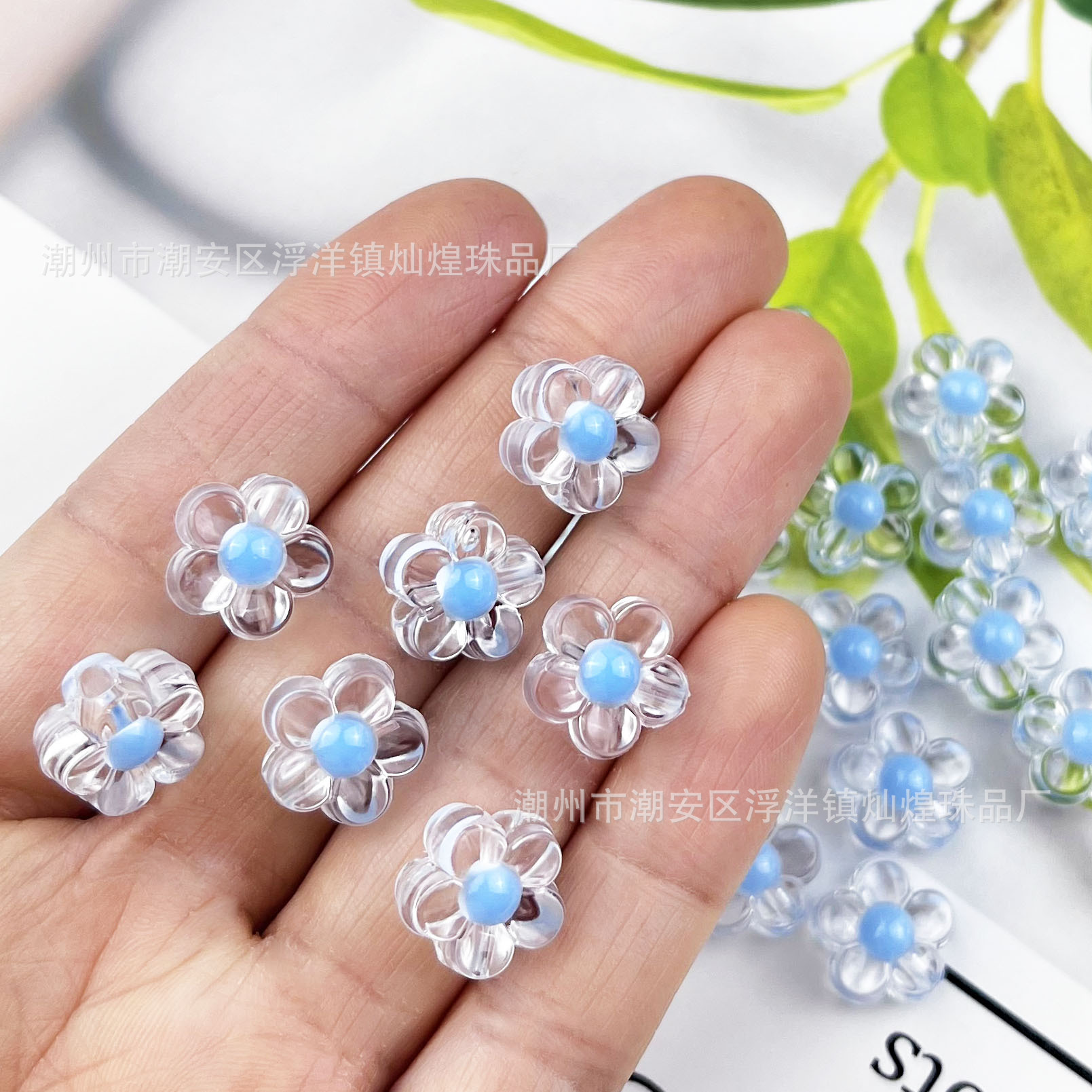 IMG_0970(20250220-095630)