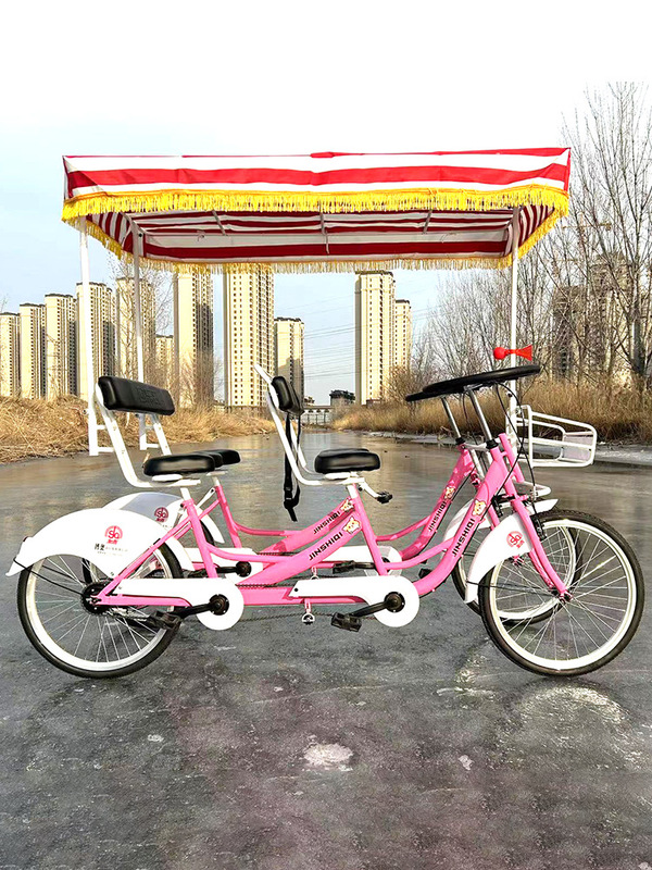 24-inch row four-wheeled sightseeing bike luxury steering wheel integrated wheel double travel bike