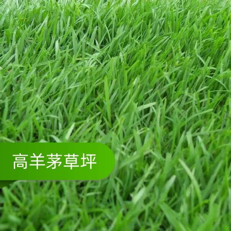 8ed4a809dbd1ee9f19a77abf3b392b