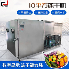 10平方冷凍乾燥機30平方真空冷凍乾燥機野菜冷凍乾燥機低温脱水冷凍乾燥設備