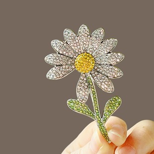 �M��r�����Ů�������߼����p���������߹�ۉ���e��Ʒ�ػ�