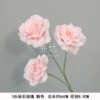 Generation 3 diamond rose