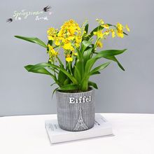 mͥԺmm籱Wm҃kԻܺB