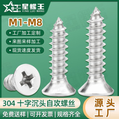 304 ステンレス鋼皿頭タッピンネジ平頭尖った尾 KA タッピンネジクロス木ネジ M3/M4/M5/M6