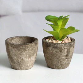 花盆容器;盆栽;盆景